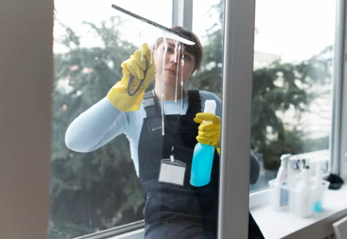 Nettoyage de vitres intérieures et extérieures à Bourret